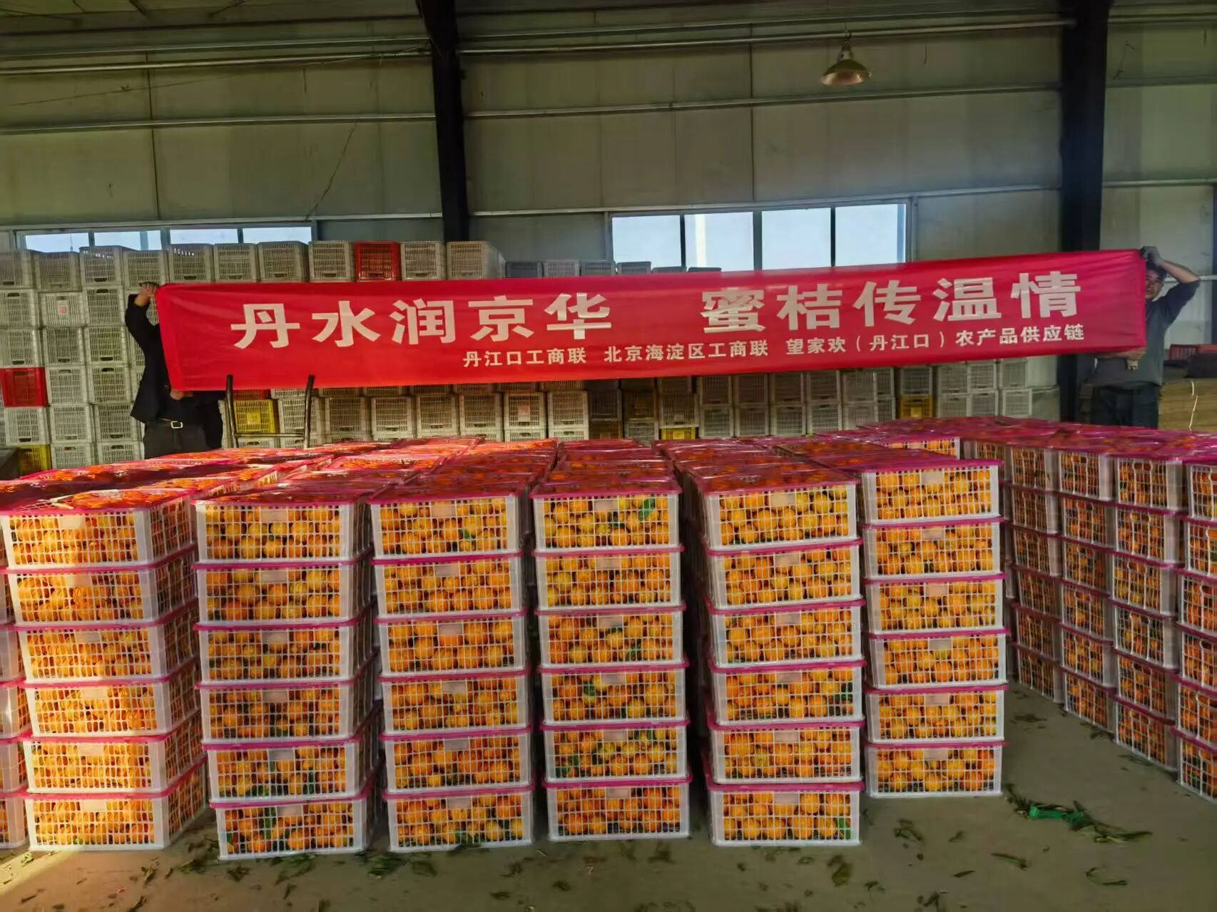 4564a511-0cf9-47b4-83ec-076b1053340a.jpg 微信图片_2026-02-02_102941_509.jpg